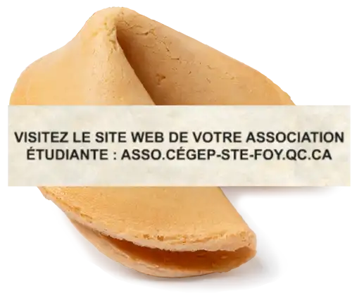 biscuit_VBBC-Fortune-Temoignage-Cegep_STE-FOY